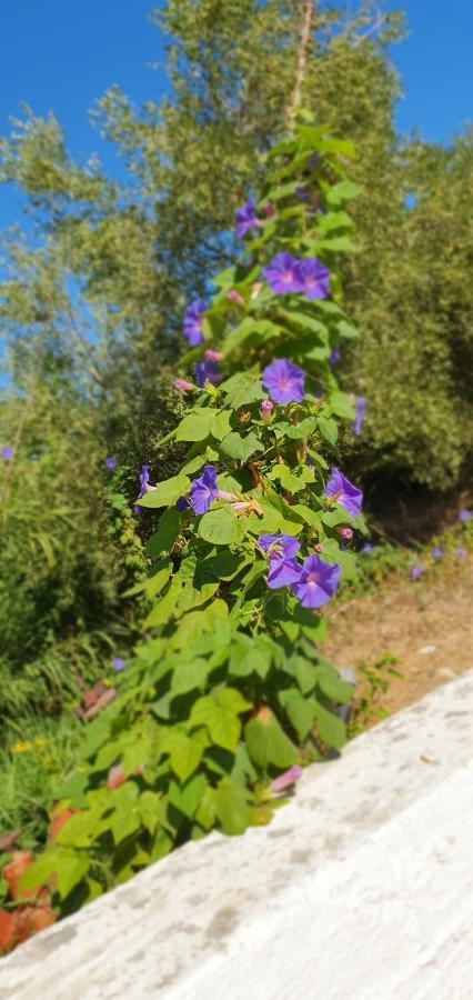 Ferienhaus Kreta Sonnenschein Villa Kondomarion Dış mekan fotoğraf