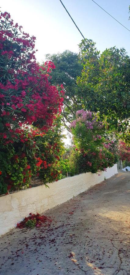 Ferienhaus Kreta Sonnenschein Villa Kondomarion Dış mekan fotoğraf